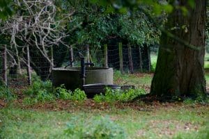 An outdoor scene featuring an old water pump and concrete well surrounded by greenery and trees.